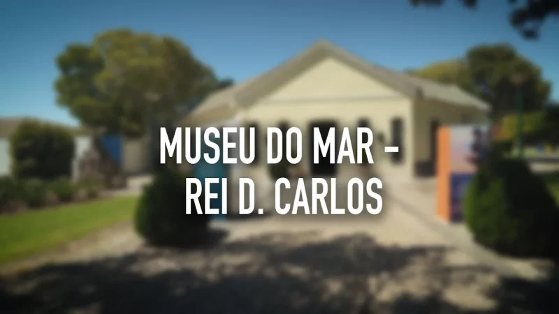Museu do Mar Rei Dom Carlos I – photo 5