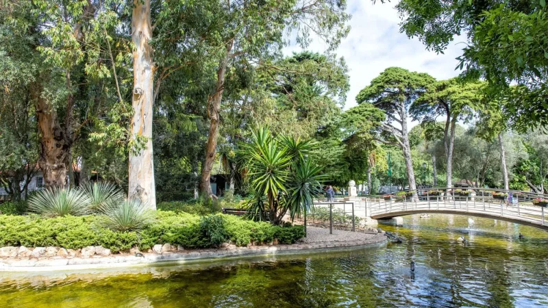 Parque Marechal Carmona – photo 9