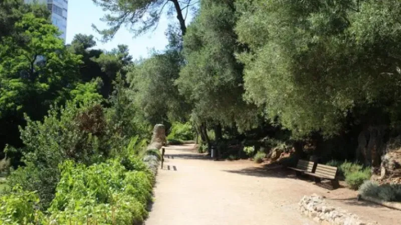 Foto da atividade Parque Urbano da Ribeira dos Mochos