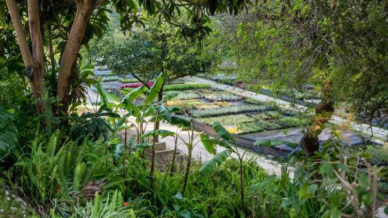 Parque Urbano da Ribeira dos Mochos – photo 9
