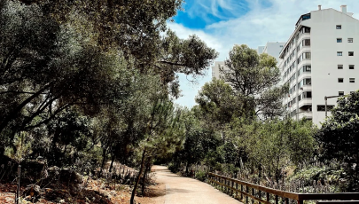 Parque Urbano da Ribeira dos Mochos