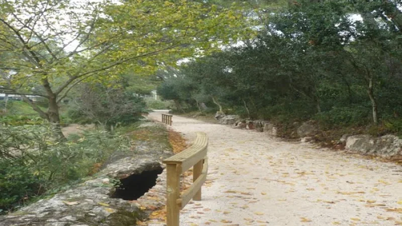 Parque Urbano da Ribeira dos Mochos – photo 5