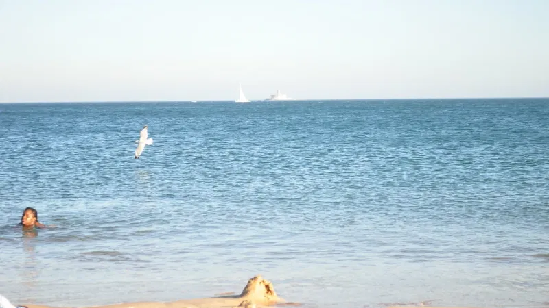 Foto da atividade Praia de Santo Amaro