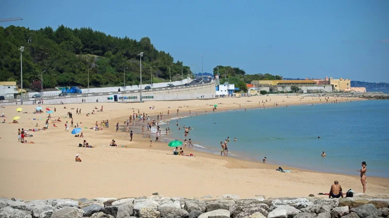 Praia de Santo Amaro – photo 6