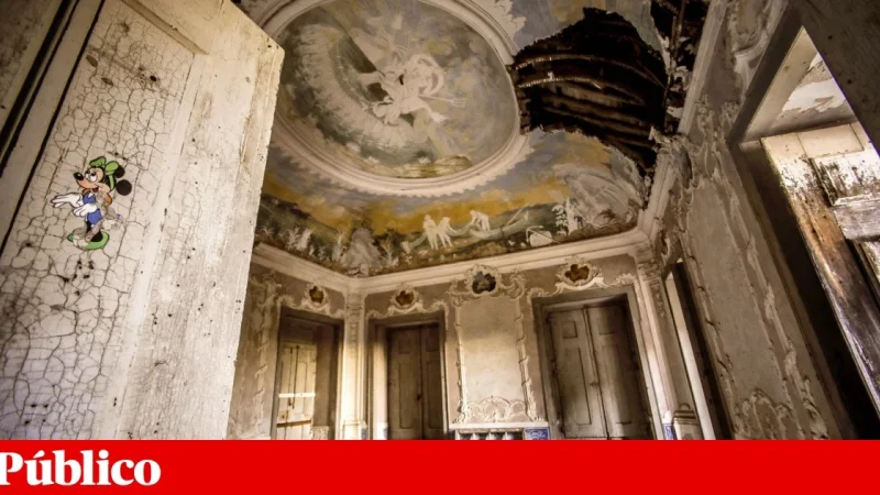 Casa da Pesca – photo 7