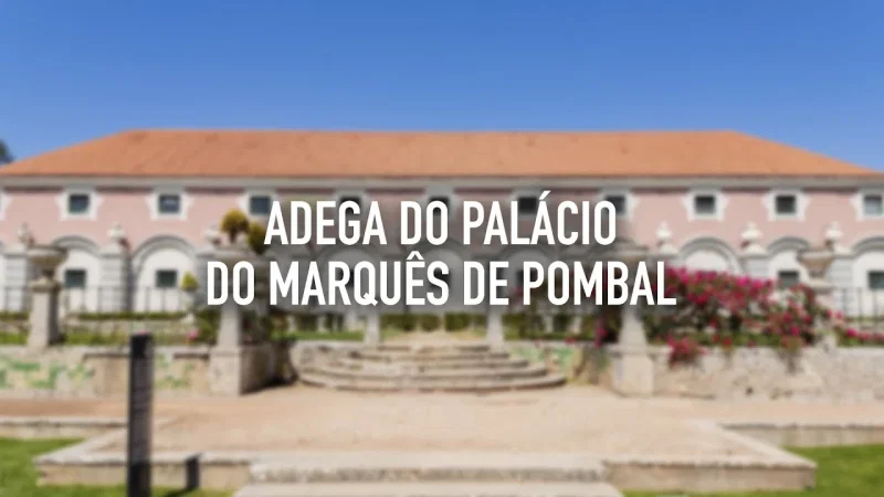 Adega do Palácio Marquês de Pombal – photo 5