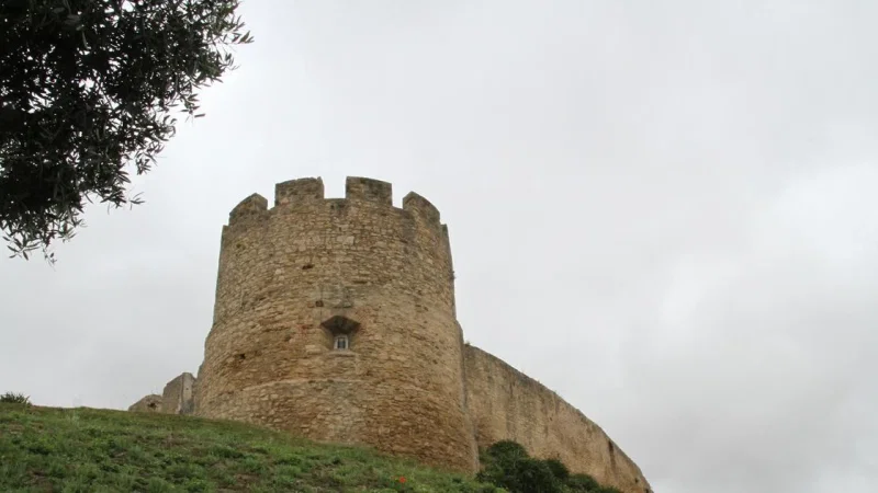 Castelo de Torres Vedras – photo 4