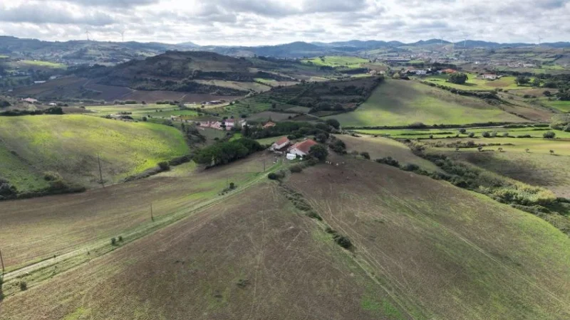 Baloiço da Quinta do Penedo (Runa) – photo 9