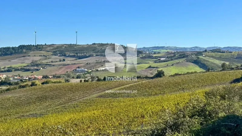 Baloiço da Quinta do Penedo (Runa) – photo 8