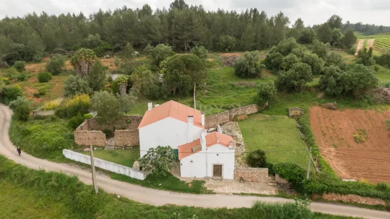 Baloiço da Quinta do Penedo (Runa) – photo 2