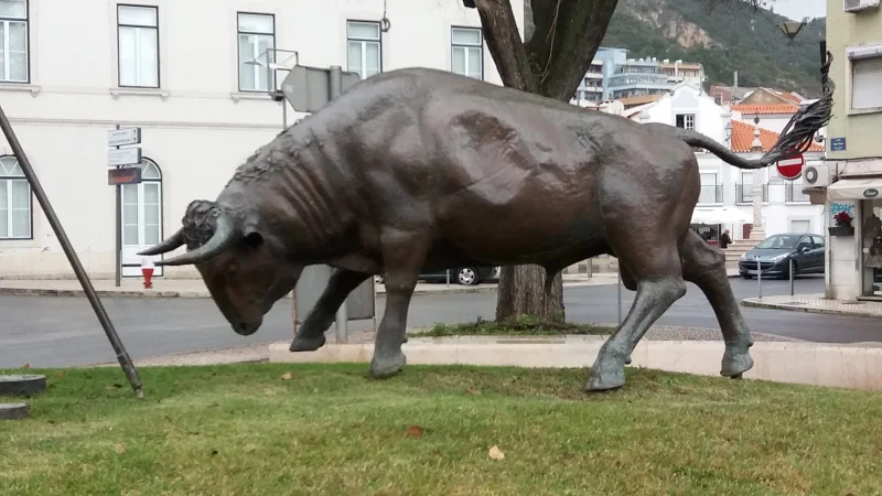 Monumento ao Campino – photo 4