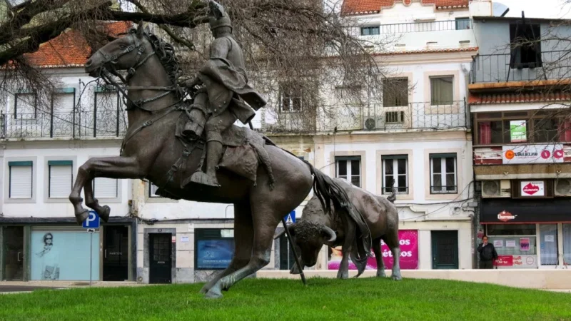 Monumento ao Campino – photo 5