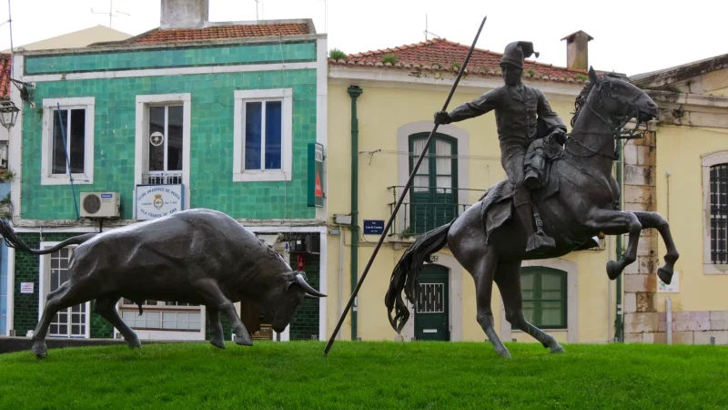 Monumento ao Campino – photo 6