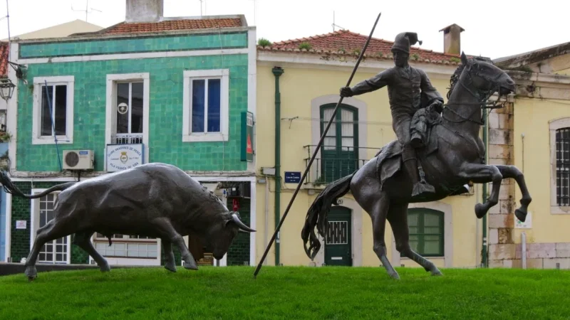 Monumento ao Campino – photo 9