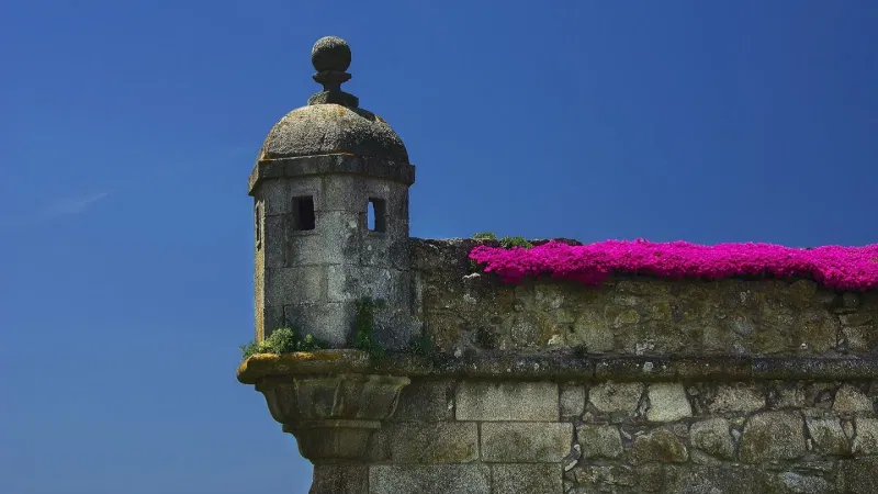 Foto da atividade Fortaleza da Nossa Senhora da Conceição