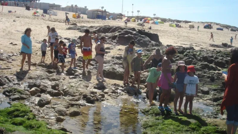 Foto da atividade CMIA de Vila do Conde - Centro de Monitorização e Interpretação Ambiental de Vila do Conde