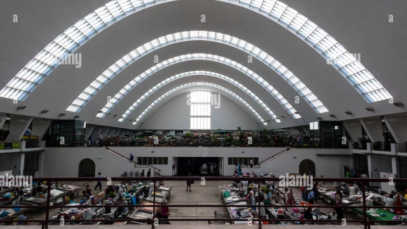 Mercado Municipal de Matosinhos – photo 6