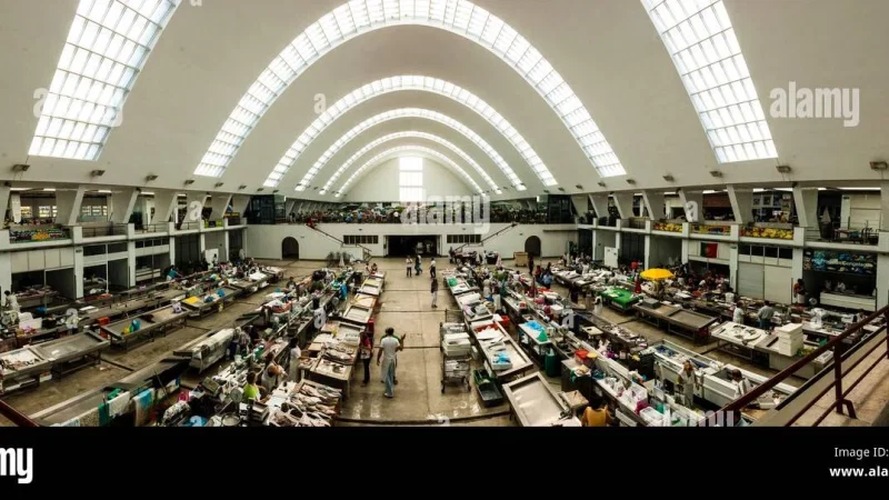 Mercado Municipal de Matosinhos – photo 7