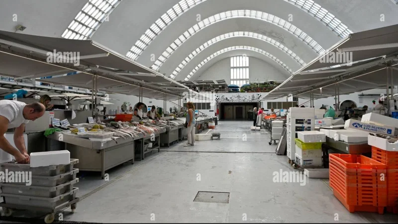 Mercado Municipal de Matosinhos – photo 8