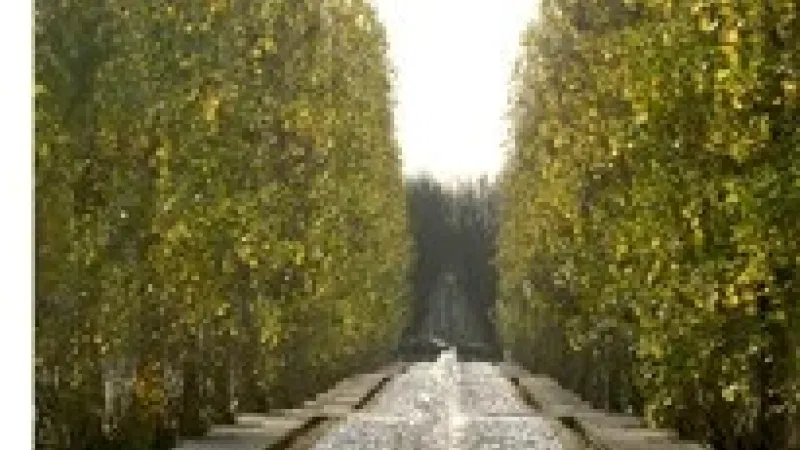 Foto da atividade Jardim Basilio Teles