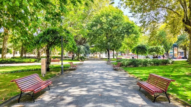 Jardim Basilio Teles – photo 2