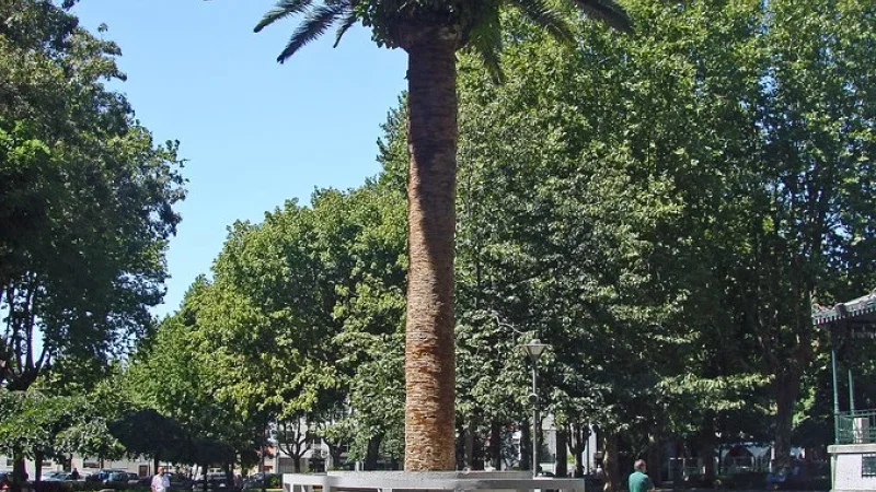 Jardim Basilio Teles – photo 9