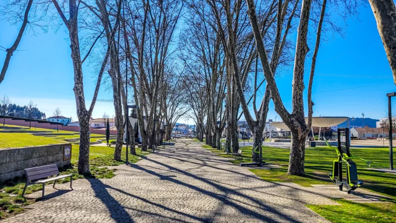 Parque Nossa Senhora das Dores e Doutor Lima Carneiro – photo 8