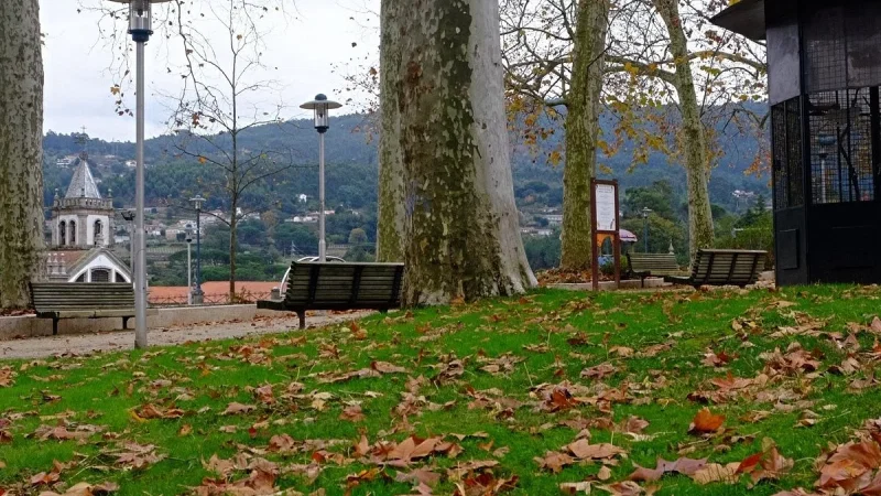 Parque Dona Maria II – photo 7