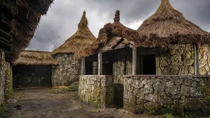 Citânia de Sanfins