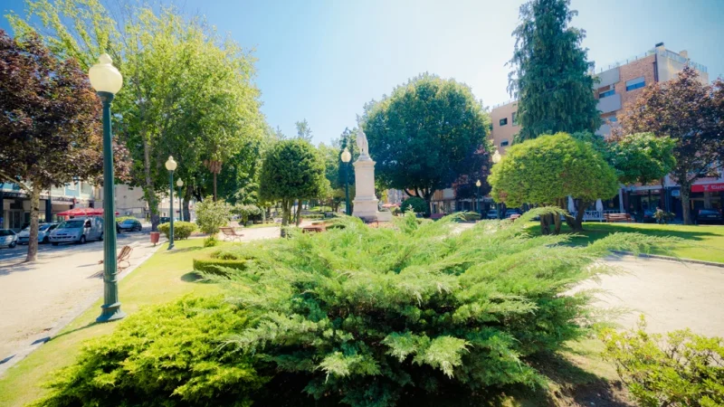 Estátua Doutor Leão de Meireles – photo 2