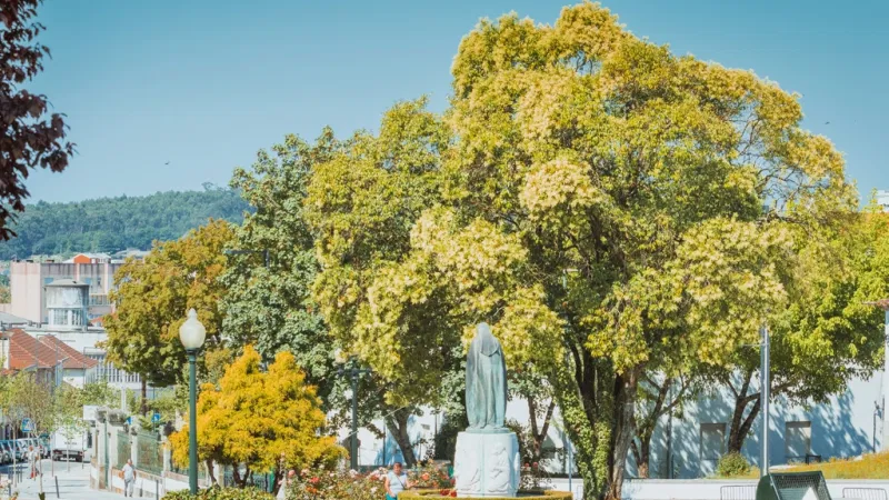 Foto do Ponto de Interesse Estátua D. Sílvia Cardoso