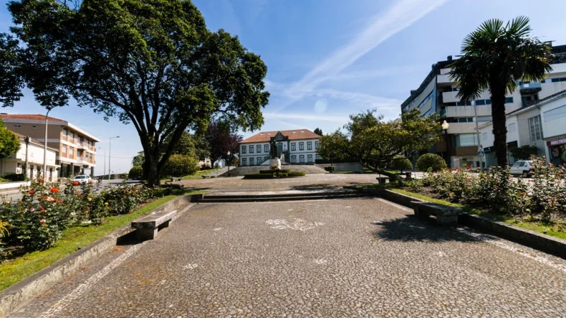 Estátua D. Sílvia Cardoso – photo 2
