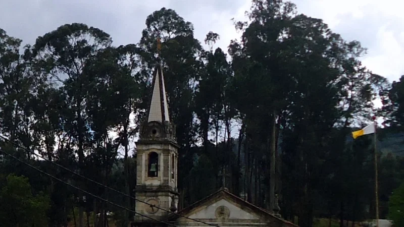 Igreja Matriz de Felgueiras – photo 4