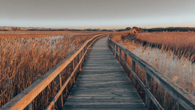 Foto do Ponto de Interesse Ponte de Esmoriz