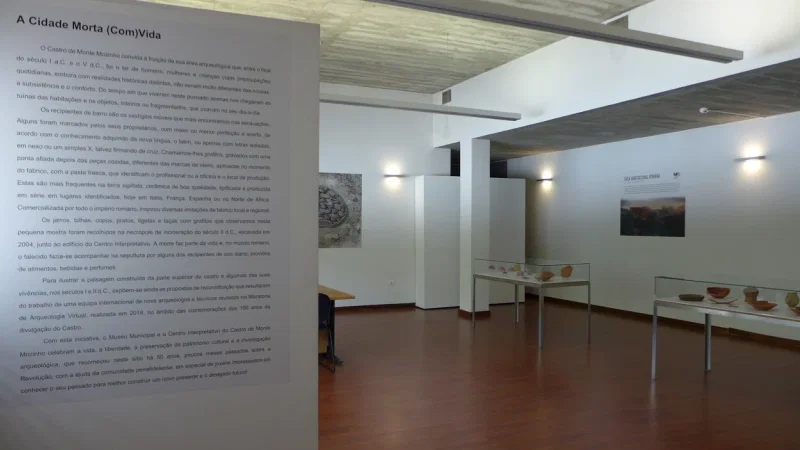 Museu Municipal de Penafiel – photo 5