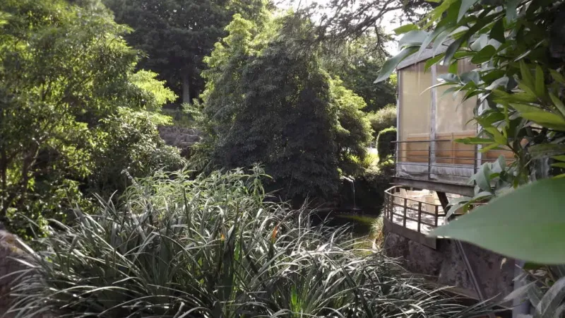 Foto do Ponto de Interesse Jardim Sameiro