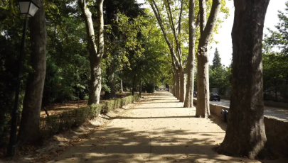 Jardim Sameiro