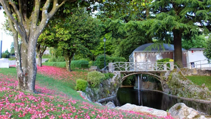 Jardim Sameiro – photo 3