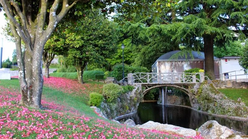 Jardim Sameiro – photo 4
