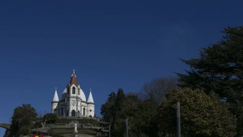 Jardim Sameiro – photo 5