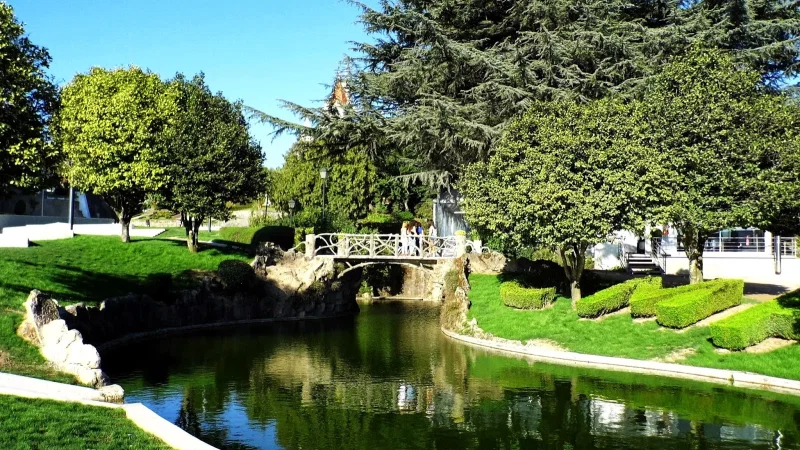 Jardim Sameiro – photo 7