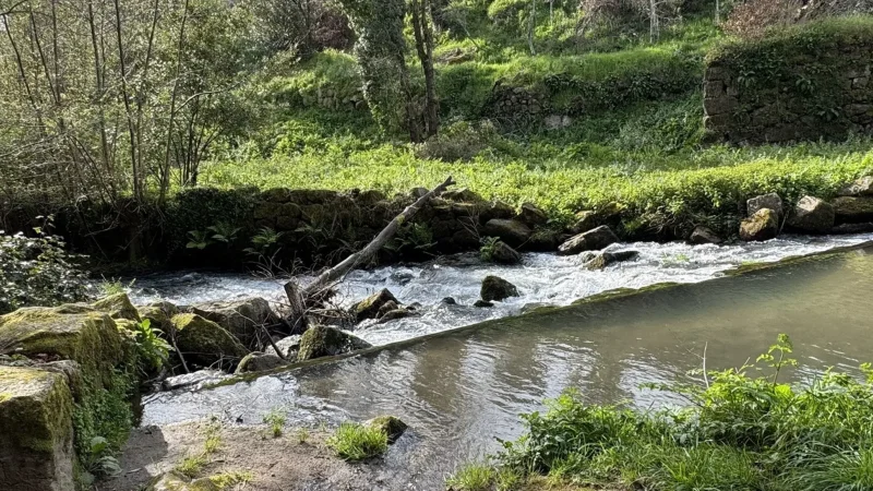 Cascatas do Barão – photo 2