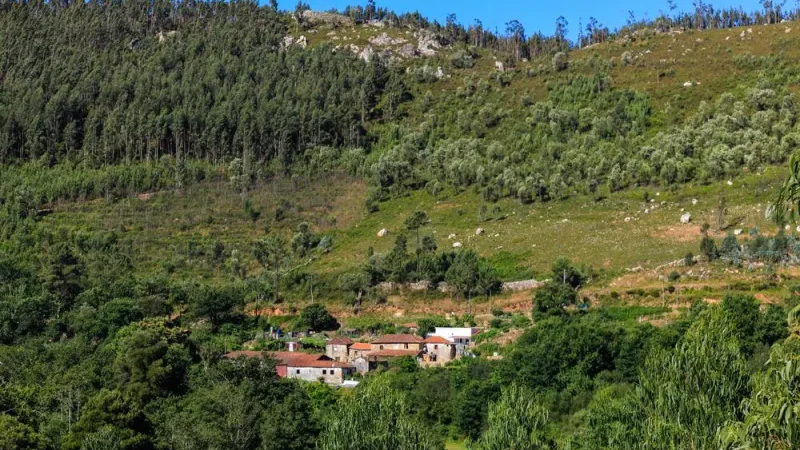 Aldeia de Couce – photo 5