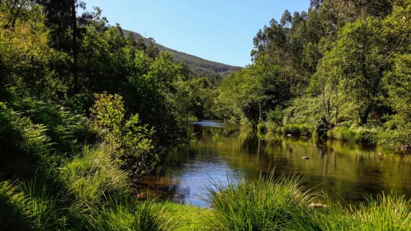 Aldeia de Couce – photo 7