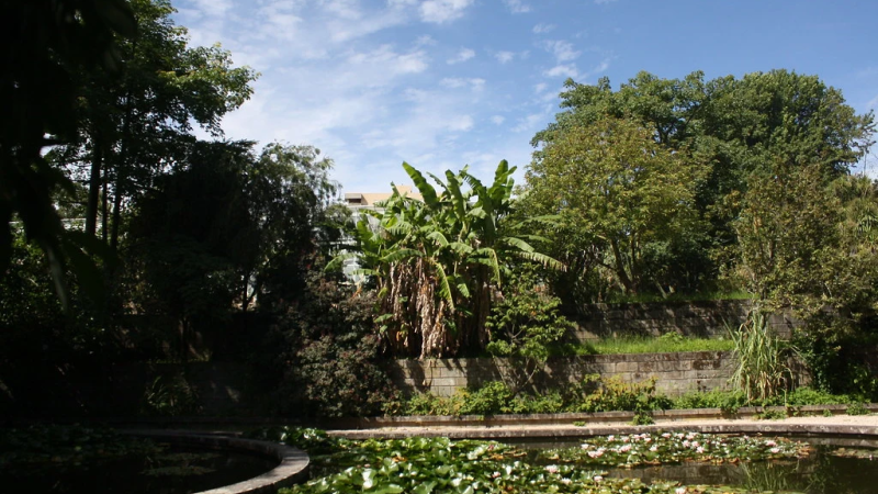 Foto do Ponto de Interesse Jardim Botânico do Porto | Museu de História Natural e da Ciência da U.Porto