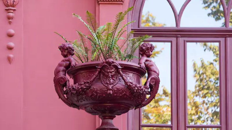 Foto do Ponto de Interesse Jardim Botânico do Porto | Museu de História Natural e da Ciência da U.Porto