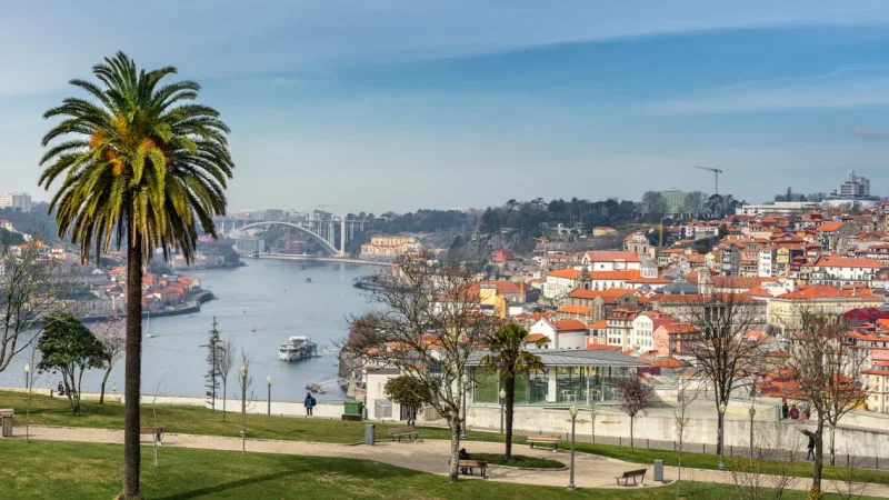 Jardim Botânico do Porto | Museu de História Natural e da Ciência da U.Porto – photo 9