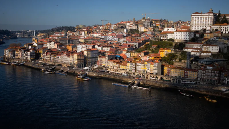 Jardim Botânico do Porto | Museu de História Natural e da Ciência da U.Porto – photo 10