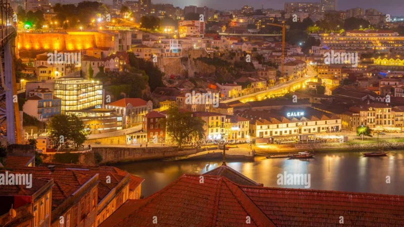 Jardim Botânico do Porto | Museu de História Natural e da Ciência da U.Porto – photo 3