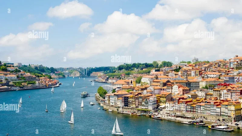 Jardim Botânico do Porto | Museu de História Natural e da Ciência da U.Porto – photo 4
